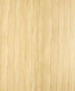 Primeval oak