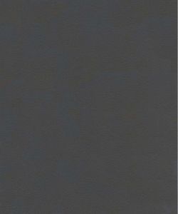 Murky Grey
