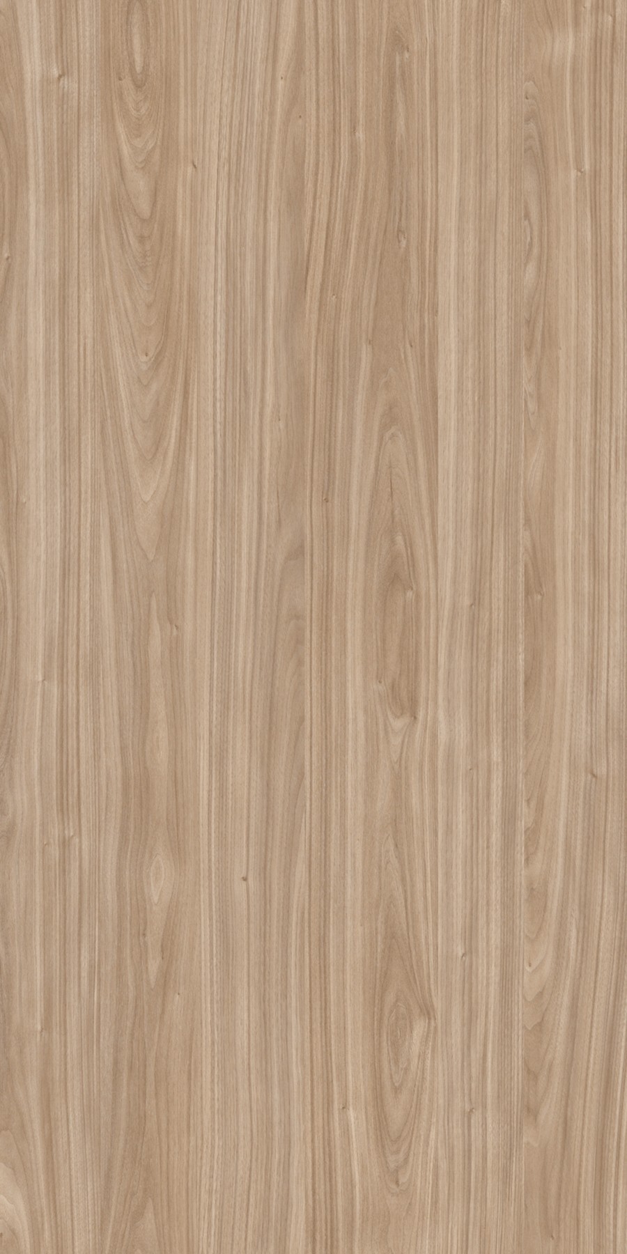 Nordic Walnut