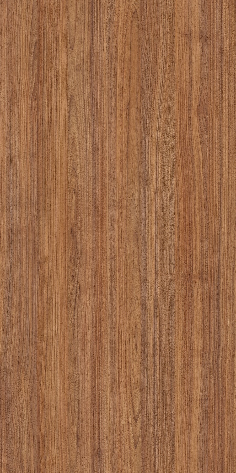 Saturno Walnut