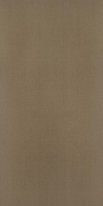 Bronze Mesh