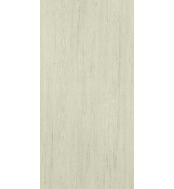 Argent Elm Laminate Sheets With Santhia Finish From Greenlam