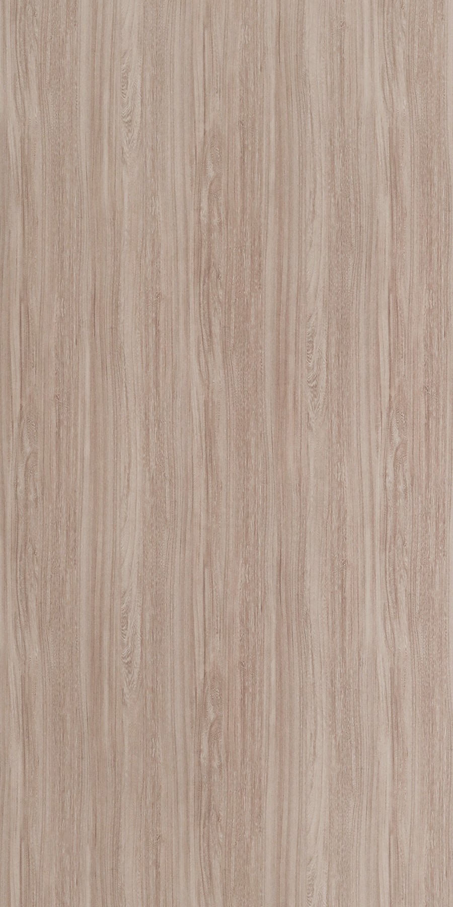 Horizon Elm Beige